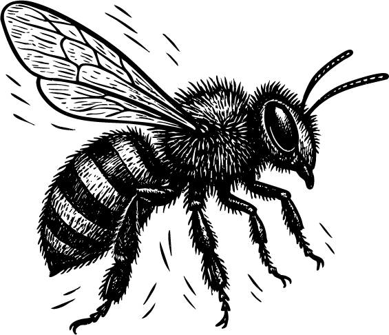 Königinnenzucht